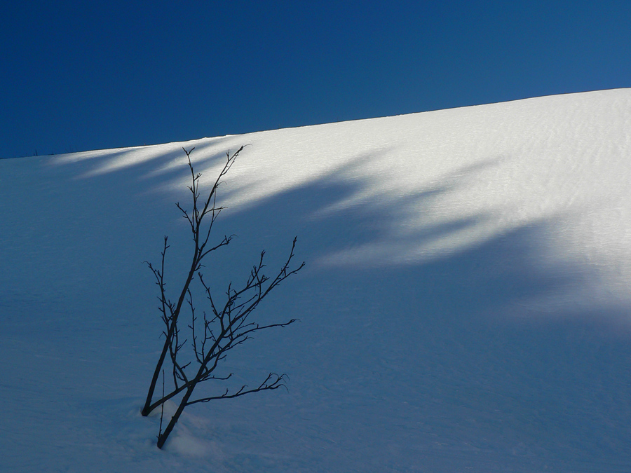 krivane-malofatranske-na-pasoch-na-pohodu