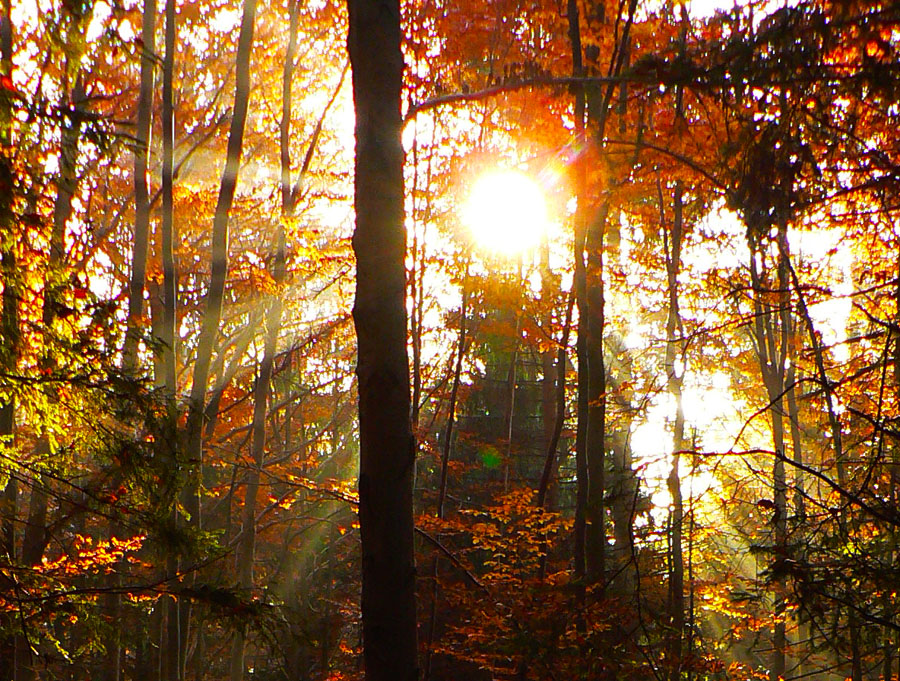 oravskou-magurou-z-juhu-na-sever