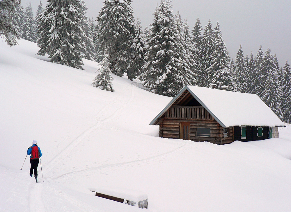 prieskum-prasanu-okolo-mincola-malofatranskeho
