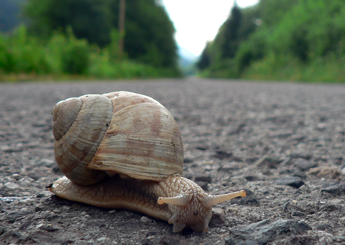 najdlhsia-dolina-na-slovensku