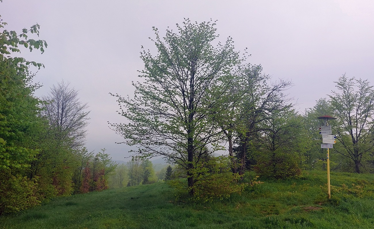 Malý Minčol stále pod sivou dekou, ale fajn. Malý_Minčol_stále_pod_sivou_dekou,_ale_fajn.