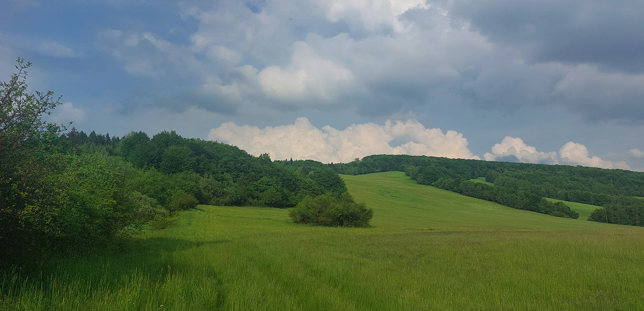 Za cestou vstupujem na rozľahlé lúky, cesta nikde, zapnuté gps sa zíde. Za_cestou_vstupujem_na_rozľahlé_lúky,_cesta_nikde,_zapnuté_gps_sa_zíde.