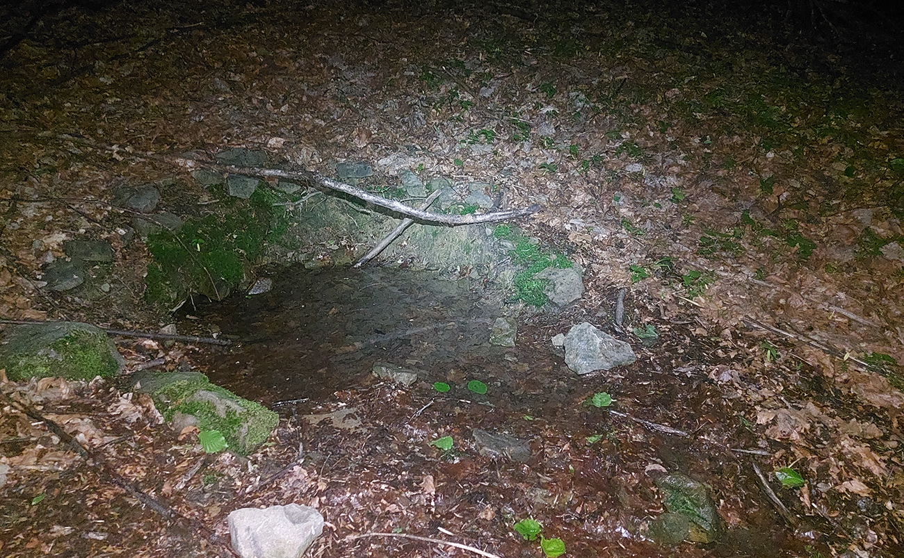 Pramienok pod Stávkom už nepotrebujem, ale voda je v ňom asi furt. Pramienok_pod_Stávkom_už_nepotrebujem,_ale_voda_je_v_ňom_asi_furt.