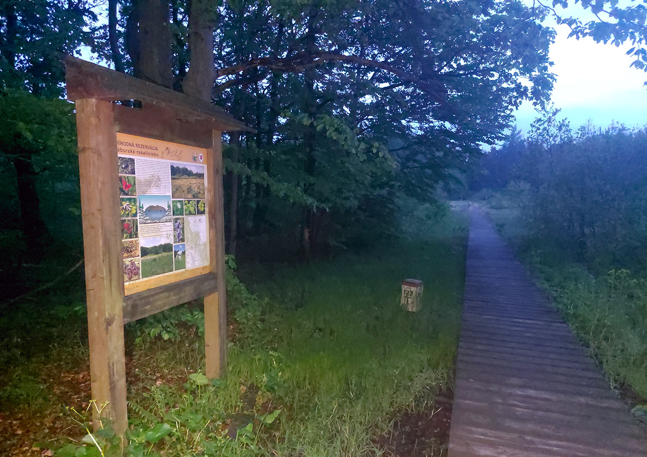 Haburské rašelinisko a druhý koniec dreveného chodníka. Haburské_rašelinisko_a_druhý_koniec_dreveného_chodníka.