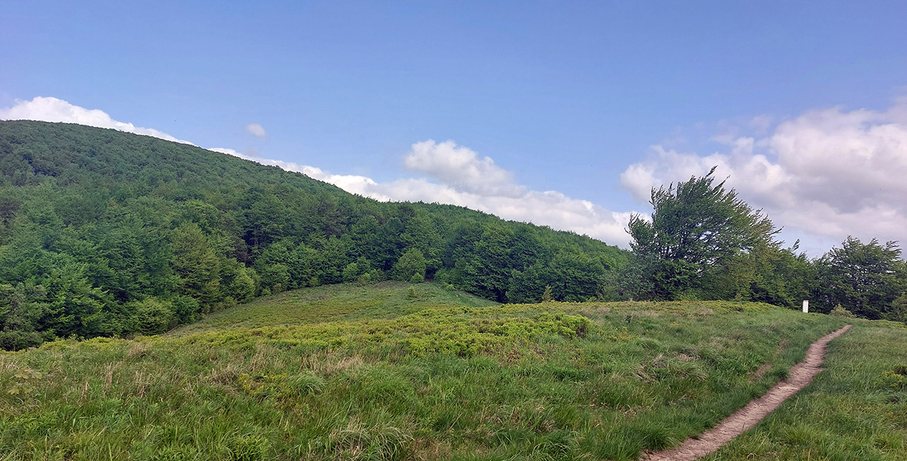 Niekde v polovici zmiernenie sklonu a výhľady na juh. Niekde_v_polovici_zmiernenie_sklonu_a_výhľady_na_juh.