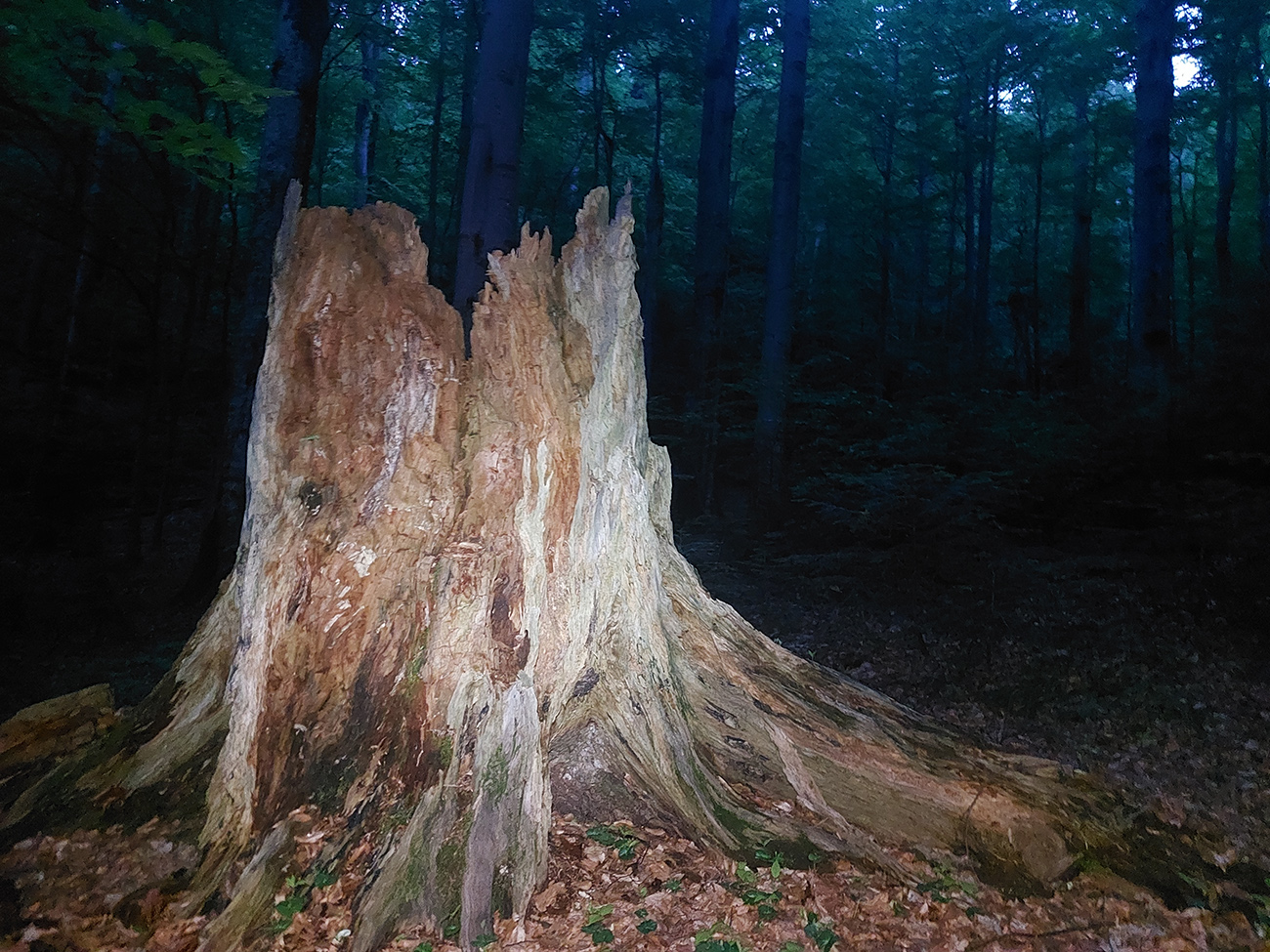 Stužickú sochársku galériu už si užívam len s bleskom a čelovkou. Stužickú_sochársku_galériu_už_si_užívam_len_s_bleskom_a_čelovkou.