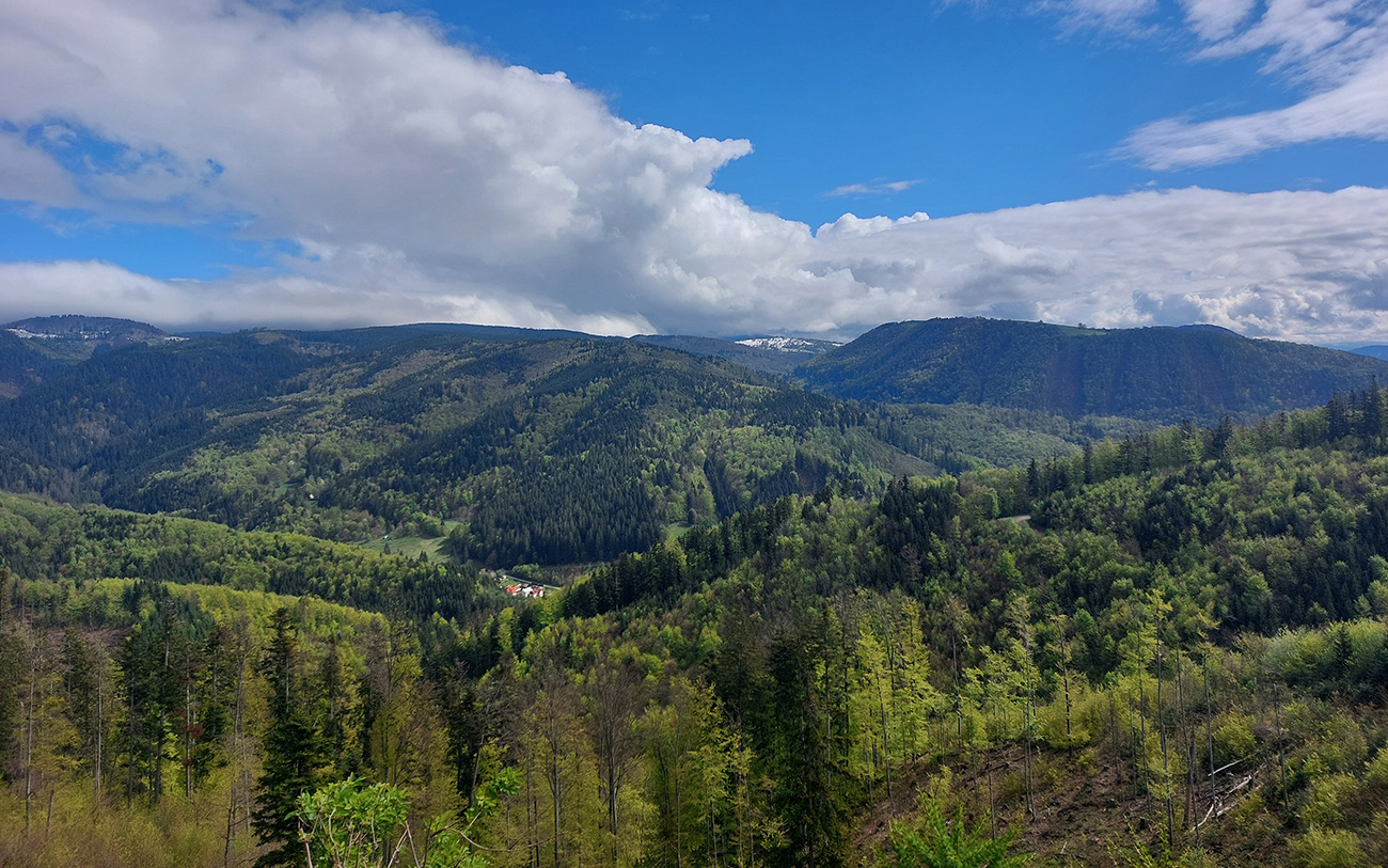 Dole_Baláže,_vzadu_Pleše,_v_mrakoch_Kozí_chrbát.