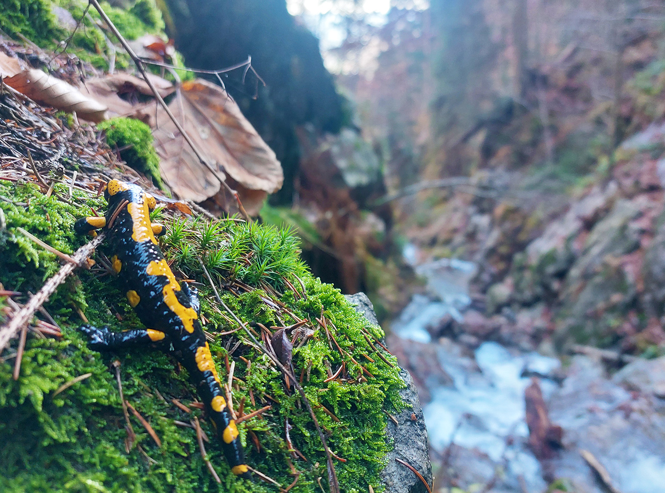 ferrata-hzs-na-martinske-hole-po-oprave