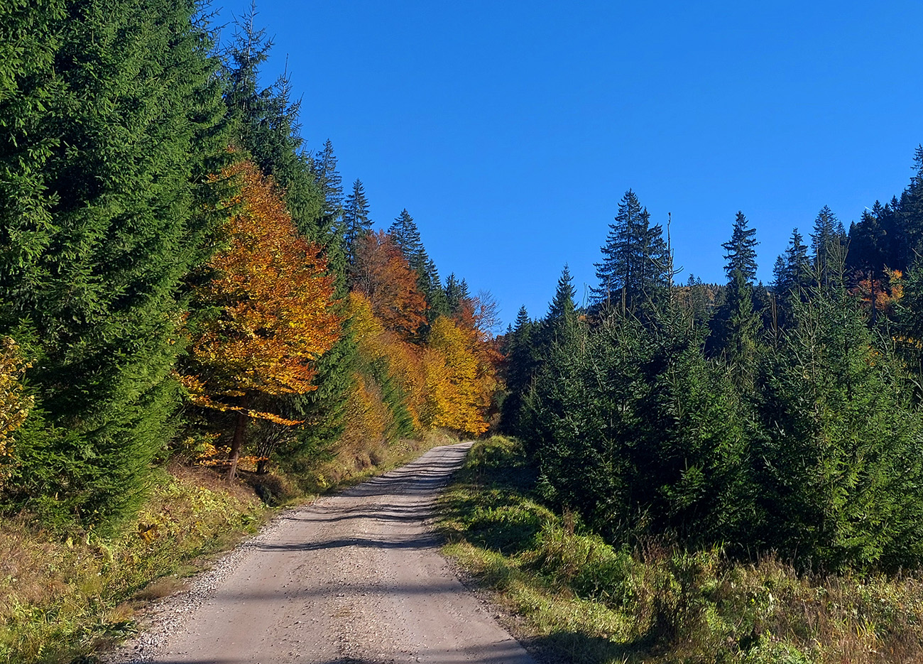 po-zvazniciach-cez-flochovu-2