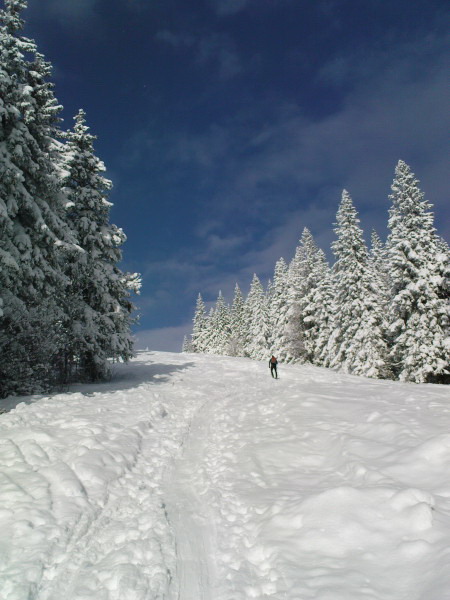 chlebaktual-19-12-2010