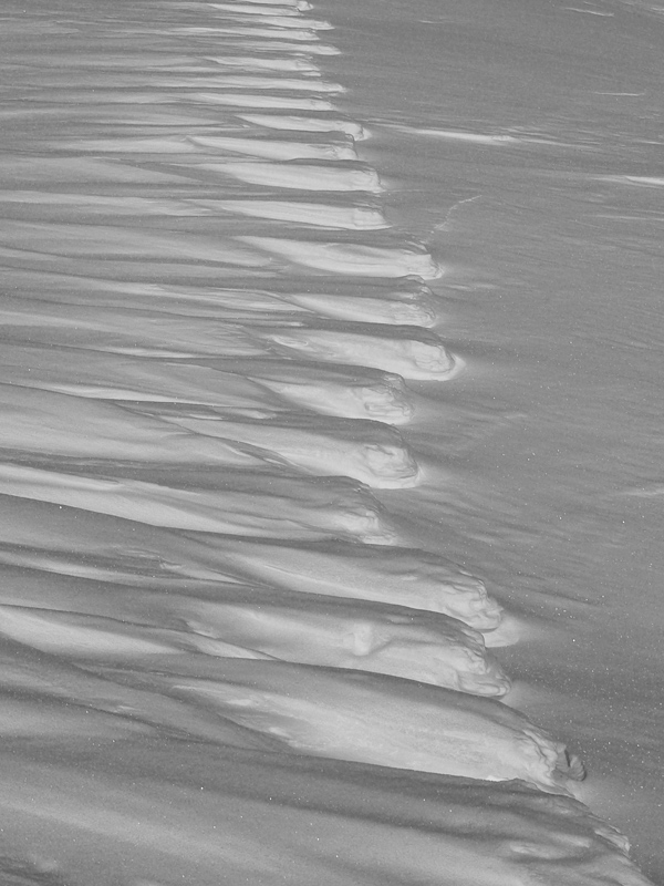 skialpovacka-vo-velkej-fatre-medzi-kriznou-a-lyscom