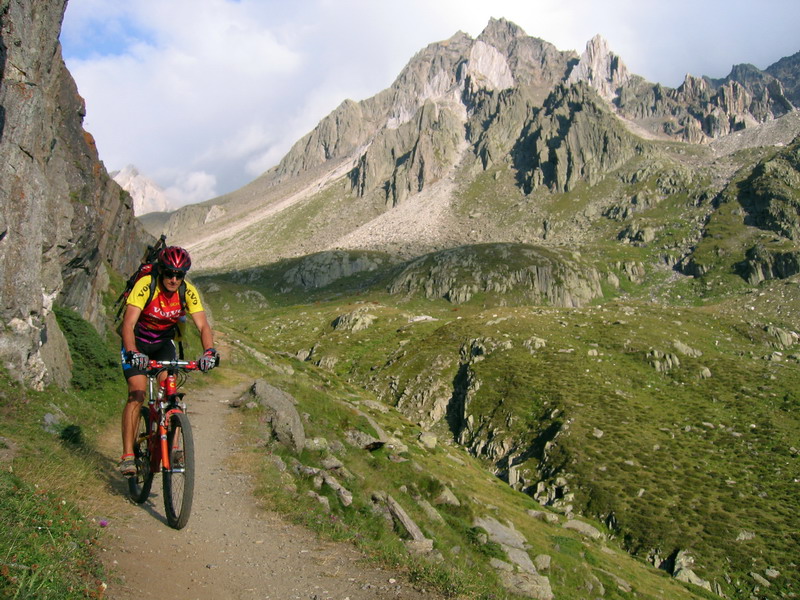 make-love-not-asfalt