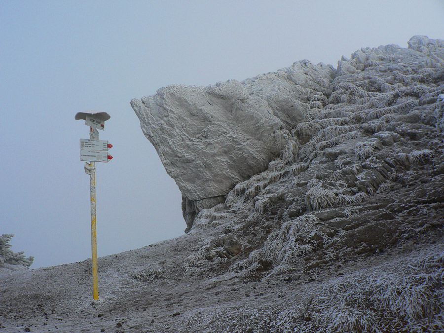 zimny-choc-1-z-liskovej-do-likavky